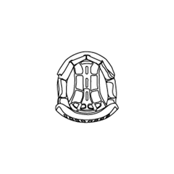 Bild von KIDS DYNAMIC-FX HELMET INTERIOR