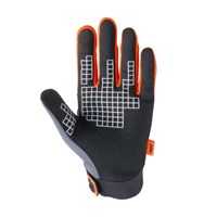 Bild von RACETECH GLOVES