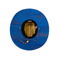 Bild von RB KTM BLAZE STRAW HAT